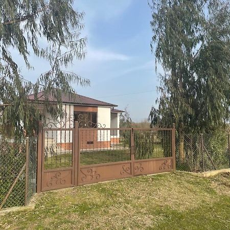 Apartment Comfort In Уреки Екстериор снимка