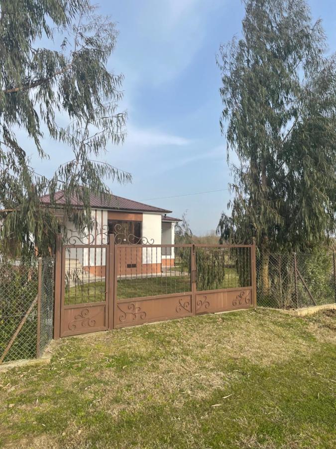 Apartment Comfort In Уреки Екстериор снимка
